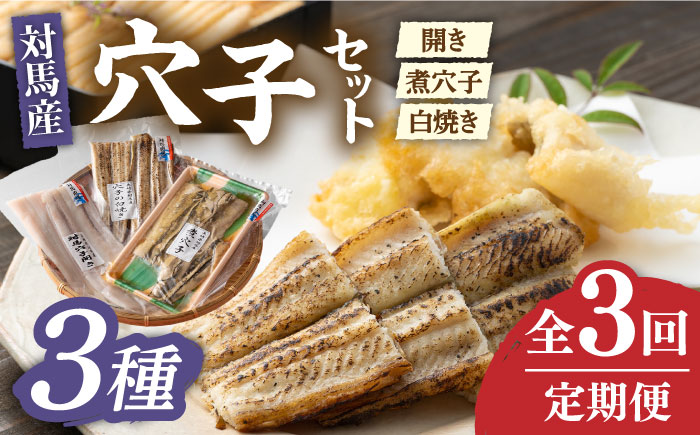 【全3回定期便】対馬 穴子 セット 500g《対馬市》【海風商事】国産 九州 長崎 煮穴子 白焼き [WAD038]
