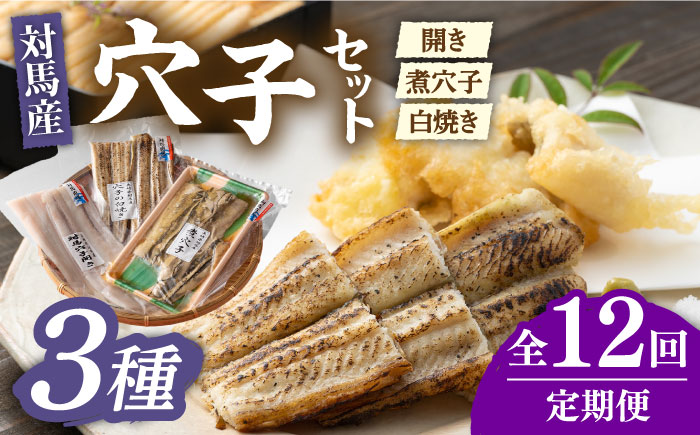 【全12回定期便】対馬 穴子 セット 500g《対馬市》【海風商事】国産 九州 長崎 煮穴子 白焼き [WAD040]
