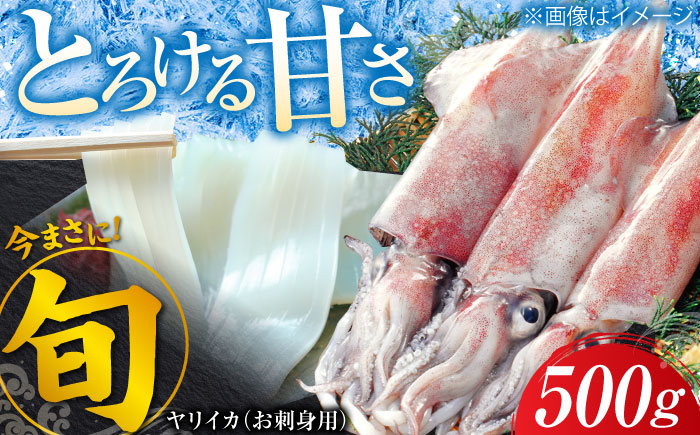 ヤリイカ お刺身用 500g 《対馬市》【海風商事】 小分け 刺身 いか イカ ヤリイカ 新鮮 海鮮 冷凍 [WAD053]