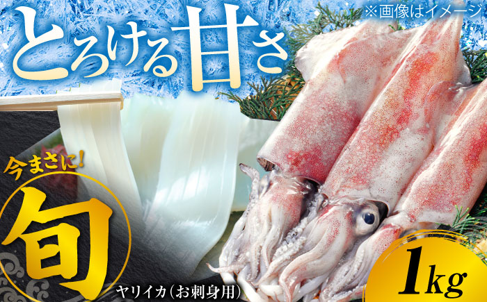 ヤリイカ お刺身用 1kg 《対馬市》【海風商事】 小分け 刺身 いか イカ ヤリイカ 新鮮 海鮮 冷凍 [WAD054]