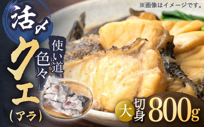 【12/17入金分まで年内発送】使い道いろいろ！ 活〆 クエ （ アラ ） 切身大 《 対馬市 》 【 対馬逸品屋 】 海鮮 高級 鍋 おもてなし [WAF013]