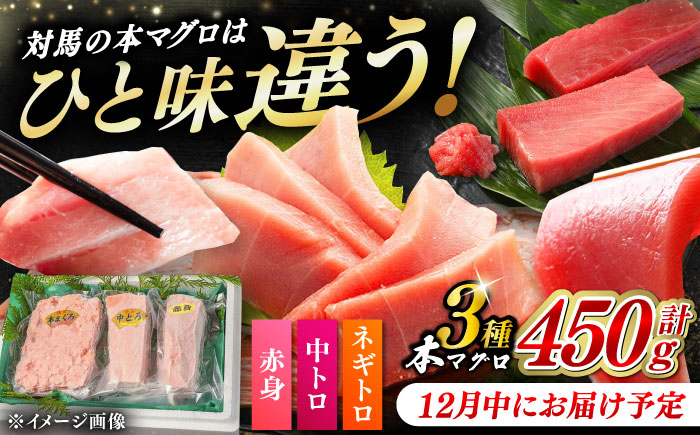 【12月中にお届け】対馬産 養殖 本マグロ 3種×各1パック ( 赤身 / 中トロ / ネギトロ )《対馬市》【対海】 マグロ 鮪 本鮪 トロ [WAH002-12]