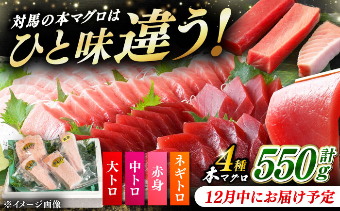 【12月中にお届け】対馬産 養殖 本マグロ 4種×各1パック ( 赤身 / 中トロ / 大トロ / ネギトロ )《対馬市》【対海】 マグロ 鮪 本鮪 トロ [WAH003-12]