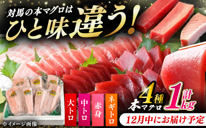 【12月中にお届け】対馬産 養殖 本マグロ 4種 ( 赤身 1パック / 中トロ 3パック / 大トロ 1パック / ネギトロ 2パック)《対馬市》【対海】 マグロ 鮪 本鮪 [WAH004-12]