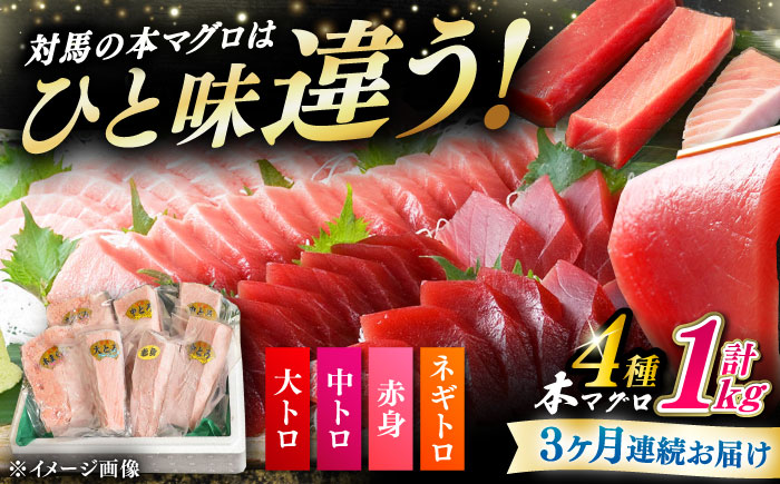 【全3回定期便】対馬産 本マグロ 4種 計1kg（赤身/中トロ/大トロ/ネギトロ）《対馬市》【対海】[WAH006] マグロ まぐろ 鮪 本鮪 本マグロ 養殖 トロ 中トロ 中とろ 大トロ 大とろ 赤身 ねぎとろ ネギトロ たたき 刺身 冷凍 海鮮 魚 柵 お祝い 贈答 定期便 毎月届く