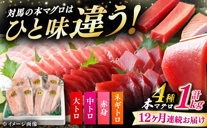 【全12回定期便】対馬産 本マグロ 4種 計1kg（赤身/中トロ/大トロ/ネギトロ）《対馬市》【対海】[WAH008] マグロ まぐろ 鮪 本鮪 本マグロ 養殖 トロ 中トロ 中とろ 大トロ 大とろ 赤身 ねぎとろ ネギトロ たたき 刺身 冷凍 海鮮 魚 柵 お祝い 贈答 定期便 毎月届く