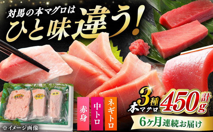 【全6回定期便】対馬産 本マグロ 3種 計450g（赤身/中トロ/ネギトロ）《対馬市》【対海】[WAH013] マグロ まぐろ 鮪 本鮪 本マグロ 養殖 トロ 中トロ 中とろ 赤身 ねぎとろ ネギトロ たたき 刺身 冷凍 海鮮 魚 柵 お祝い 贈答 定期便 毎月届く