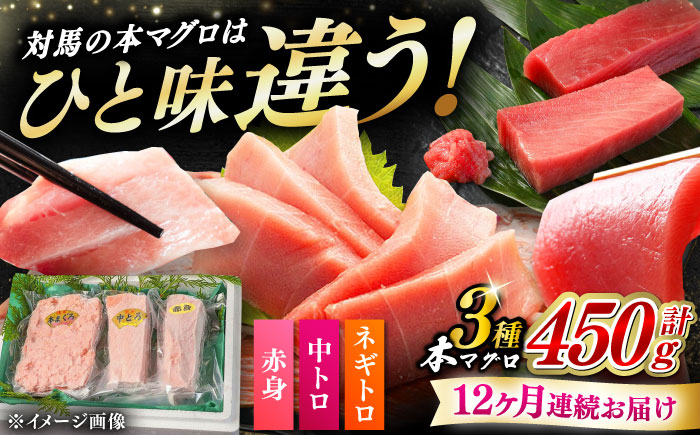 【全12回定期便】対馬産 本マグロ 3種 計450g（赤身/中トロ/ネギトロ）《対馬市》【対海】[WAH014] マグロ まぐろ 鮪 本鮪 本マグロ 養殖 トロ 中トロ 中とろ 赤身 ねぎとろ ネギトロ たたき 刺身 冷凍 海鮮 魚 柵 お祝い 贈答 定期便 毎月届く
