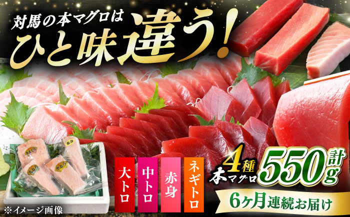 【全6回定期便】対馬産 本マグロ 4種 計550g（赤身/中トロ/大トロ/ネギトロ）《対馬市》【対海】[WAH016] マグロ まぐろ 鮪 本鮪 本マグロ 養殖 トロ 中トロ 中とろ 大トロ 大とろ 赤身 ねぎとろ ネギトロ たたき 刺身 冷凍 海鮮 魚 柵 お祝い 贈答 定期便 毎月届く