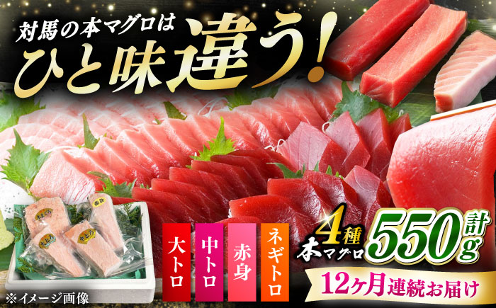 【全12回定期便】対馬産 本マグロ 4種 計550g（赤身/中トロ/大トロ/ネギトロ）《対馬市》【対海】[WAH017] マグロ まぐろ 鮪 本鮪 本マグロ 養殖 トロ 中トロ 中とろ 大トロ 大とろ 赤身 ねぎとろ ネギトロ たたき 刺身 冷凍 海鮮 魚 柵 お祝い 贈答 定期便 毎月届く