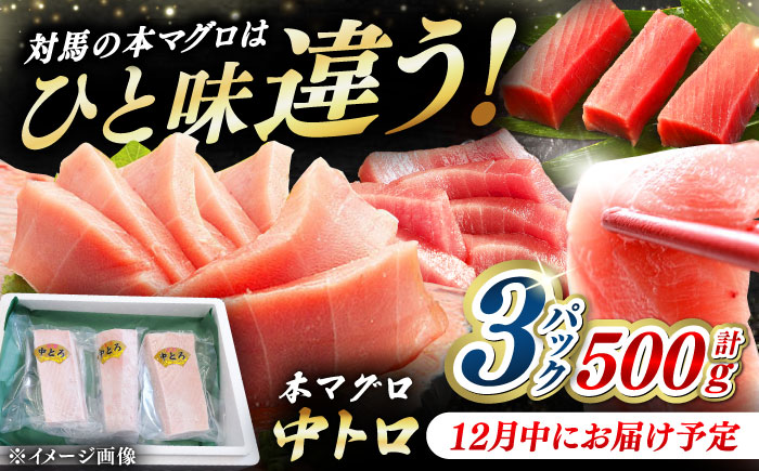 【12月中にお届け】対馬産 養殖 本マグロ 中トロ 500ｇ(3パック)《対馬市》【対海】 冷凍 新鮮 直送 マグロ 鮪 まぐろ 本鮪 中とろ [WAH018-12]