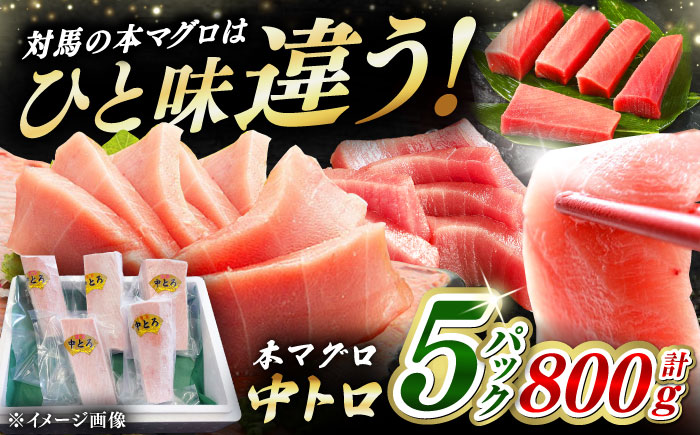 【12/11入金分まで年内発送】対馬産 養殖 本マグロ 中トロ 800ｇ(5パック)《対馬市》【対海】 マグロ 鮪 まぐろ 本鮪 中とろ [WAH019]