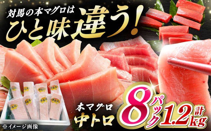 【12/11入金分まで年内発送】対馬産 養殖 本マグロ　中トロ 1.2kg(8パック)《対馬市》【対海】マグロ 鮪 まぐろ 本鮪 中とろ [WAH020]
