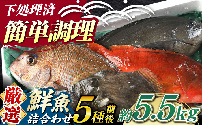 【期間限定！】対馬産 鮮魚 詰め合わせ 5種前後 5.5ｋｇ《対馬市》【対海】新鮮 天然 直送 冷蔵 セット [WAH023]