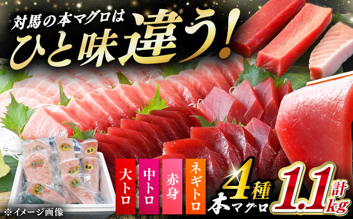 対馬産 本マグロ 4種 計1.1kg（赤身/中トロ/大トロ/ネギトロ）《対馬市》【対海】 冷凍配送 食べ比べ 新鮮 手巻き寿司 海鮮丼 贈り物 [WAH028]