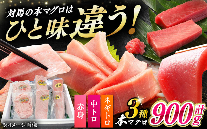 対馬産 本マグロ 3種 計900g（赤身/中トロ/ネギトロ）《対馬市》【対海】 冷凍配送 食べ比べ 贈り物 魚介類 [WAH029]