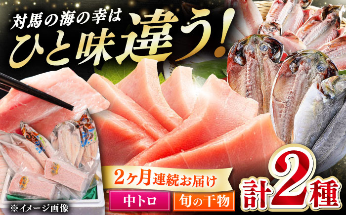 【全2回定期便】対馬産 本マグロ 中トロ300g ＆干物《対馬市》【対海】 新鮮 マグロ 鮪 本鮪 トロ 海鮮 冷凍 浜干し [WAH031]
