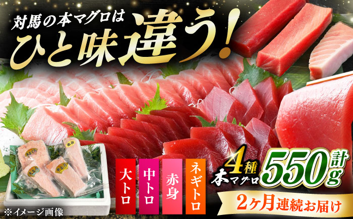 【全2回定期便】対馬産 本マグロ 4種 計550g（赤身/中トロ/大トロ/ネギトロ）《対馬市》【対海】 新鮮 マグロ 鮪 本鮪 赤身 中トロ 大トロ ねぎとろ 海鮮 冷凍 [WAH033]