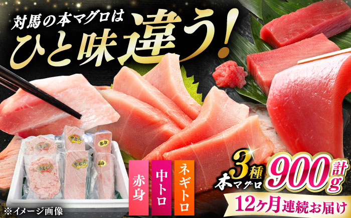【全12回定期便】 対馬産 本マグロ 3種 計900g（赤身/中トロ/ネギトロ）《対馬市》【対海】 冷凍配送 食べ比べ 贈り物 魚介類 [WAH042]