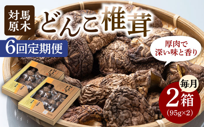【全6回定期便】対馬 原木 どんこ椎茸 2箱《対馬市》【うえはら株式会社】 対馬産 肉厚 しいたけ 乾燥 きのこ 贈り物 [WAI058]