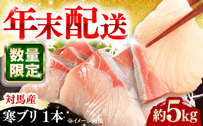 【年末に指定でお届け！】対馬産 寒ブリ 5kg前後 1本 ≪対馬市≫【うえはら株式会社】 産地直送 冷蔵 冷蔵配送 ブリ ぶり 鰤 海鮮 長崎 対馬 国産 鮮魚 [WAI096]
