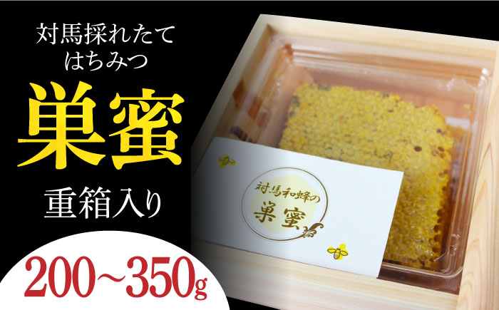 対馬 はちみつ 採れたて 巣蜜 つしま ひのき 重箱 ギフト《対馬市》【特定非営利活動法人 對馬次世代協議会（対馬コノソレ）】九州 長崎 スイーツ [WAM014]