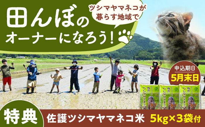 対馬 佐護 ツシマヤマネコ 米 田んぼオーナー1年権【ツシマヤマネコ米15kg付き】（対馬市）【一般社団法人MIT】 米作り体験 田植え 体験 稲刈り 離島 チケット 新米 [WAP026]