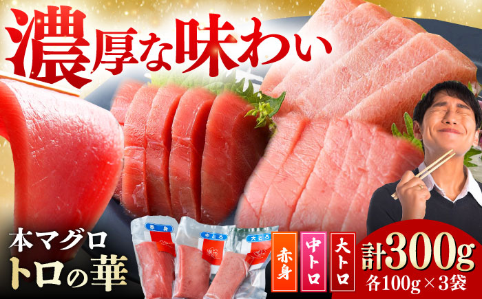 対馬産 本マグロ 詰め合わせ 《 対馬市 》【 桐谷商店 】 トロの華 対馬 新鮮 マグロ 大トロ 鮪 刺身 鮮度抜群 [WAQ003]