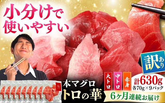 【全6回定期便】訳あり！対馬産 本マグロ 切り落とし 630g（9パック） ≪対馬市≫【桐谷商店】 トロの華 冷凍 新鮮 海鮮 小分け マグロ [WAQ037]