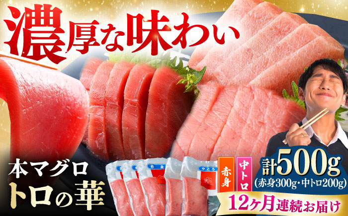 【全12回定期便】対馬産 本マグロ 500g（赤身300g、中トロ200g） ≪対馬市≫【桐谷商店】 トロの華 対馬 新鮮 マグロ トロ 鮪 刺身 鮮度抜群 [WAQ046]