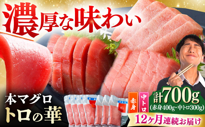 【全12回定期便】対馬産 本マグロ 700g（赤身400g、中トロ300g） ≪対馬市≫【桐谷商店】 トロの華 対馬 新鮮 マグロ トロ 鮪 刺身 鮮度抜群 [WAQ050]