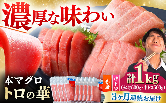 【全3回定期便】対馬産 本マグロ 1kg（赤身500g、中トロ500g） ≪対馬市≫【桐谷商店】 トロの華 対馬 新鮮 マグロ トロ 鮪 刺身 鮮度抜群 [WAQ052]