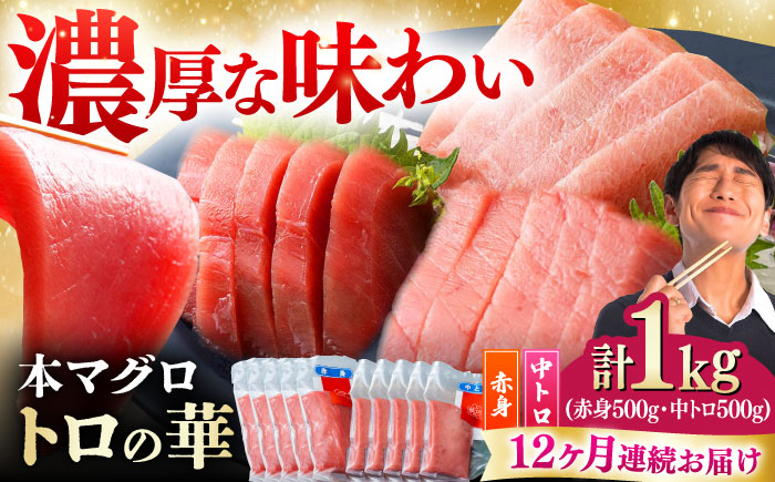 【全12回定期便】対馬産 本マグロ 1kg（赤身500g、中トロ500g） ≪対馬市≫【桐谷商店】 トロの華 対馬 新鮮 マグロ トロ 鮪 刺身 鮮度抜群 [WAQ054]