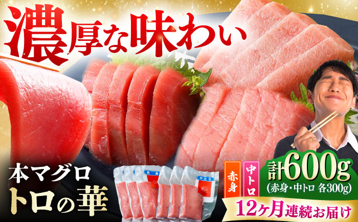 【全12回定期便】対馬産 本マグロ 600g（赤身300g、中トロ300g） ≪対馬市≫【桐谷商店】 トロの華 対馬 新鮮 マグロ 赤身 トロ 鮪 刺身 [WAQ070]