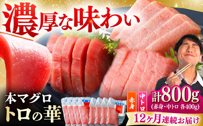 【全12回定期便】対馬産 本マグロ 800g（赤身400g、中トロ400g） ≪対馬市≫【桐谷商店】 トロの華 対馬 新鮮 マグロ 赤身 トロ 鮪 刺身 [WAQ074]