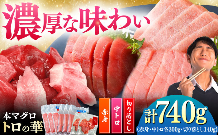 対馬産 本マグロ 740g（赤身300g、中トロ300g、切り落とし140g） ≪対馬市≫【桐谷商店】 トロの華 対馬 新鮮 マグロ 赤身 トロ 切り落とし 鮪 刺身 [WAQ079]