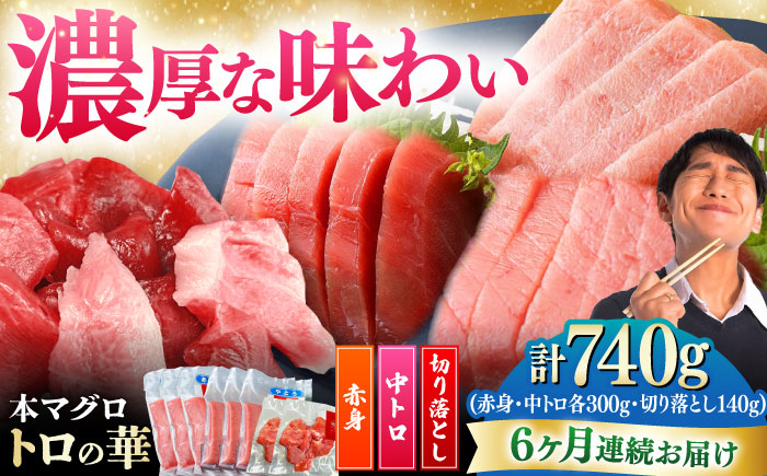 【全6回定期便】対馬産 本マグロ 740g（赤身300g、中トロ300g、切り落とし140g） ≪対馬市≫【桐谷商店】 トロの華 対馬 新鮮 マグロ 赤身 トロ 切り落とし 鮪 刺身 [WAQ081]