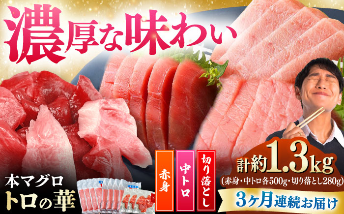 【全3回定期便】対馬産 本マグロ 約1.3kg（赤身500g、中トロ500g、切り落とし280g） ≪対馬市≫【桐谷商店】 トロの華 対馬 新鮮 マグロ 赤身 トロ 切り落とし 鮪 刺身 [WAQ088]