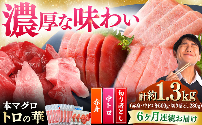 【全6回定期便】対馬産 本マグロ 約1.3kg（赤身500g、中トロ500g、切り落とし280g） ≪対馬市≫【桐谷商店】 トロの華 対馬 新鮮 マグロ 赤身 トロ 切り落とし 鮪 刺身 [WAQ089]