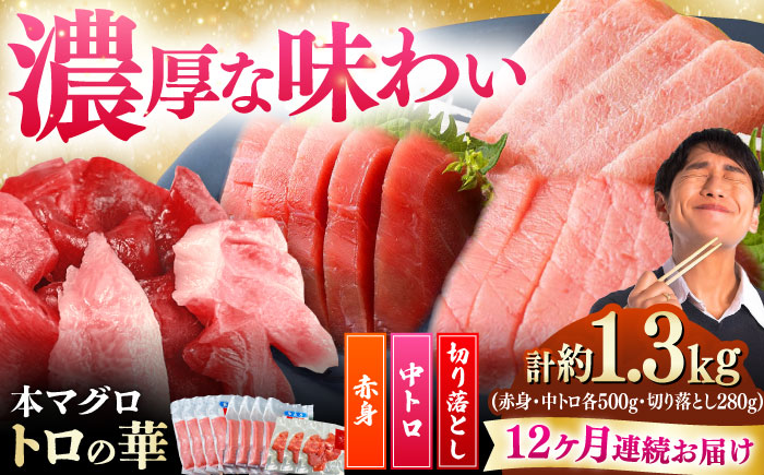 【全12回定期便】対馬産 本マグロ 約1.3kg（赤身500g、中トロ500g、切り落とし280g） ≪対馬市≫【桐谷商店】 トロの華 対馬 新鮮 マグロ 赤身 トロ 切り落とし 鮪 刺身 [WAQ090]