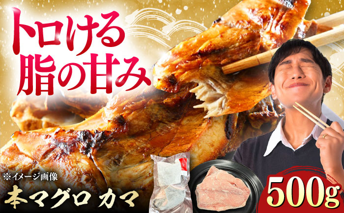 対馬産 本マグロ カマ 500g ≪対馬市≫【桐谷商店】 トロの華 対馬 新鮮 マグロ かま 鮪 [WAQ091]