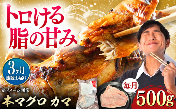 【全3回定期便】対馬産 本マグロ カマ 500g ≪対馬市≫【桐谷商店】 トロの華 対馬 新鮮 マグロ かま 鮪 [WAQ092]