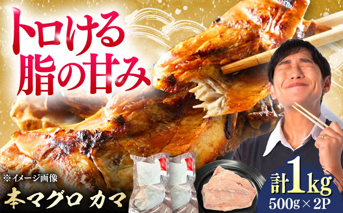 対馬産 本マグロ カマ 1kg ≪対馬市≫【桐谷商店】 トロの華 対馬 新鮮 マグロ かま 鮪 [WAQ095]