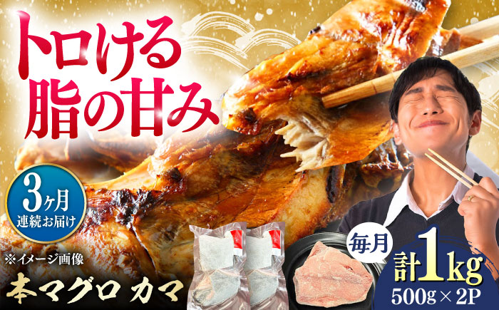 【全3回定期便】対馬産 本マグロ カマ 1kg ≪対馬市≫【桐谷商店】 トロの華 対馬 新鮮 マグロ かま 鮪 [WAQ096]