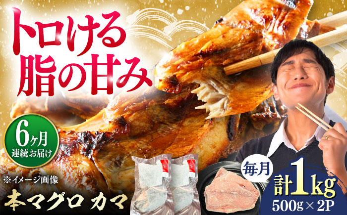 【全6回定期便】対馬産 本マグロ カマ 1kg ≪対馬市≫【桐谷商店】 トロの華 対馬 新鮮 マグロ かま 鮪 [WAQ097]