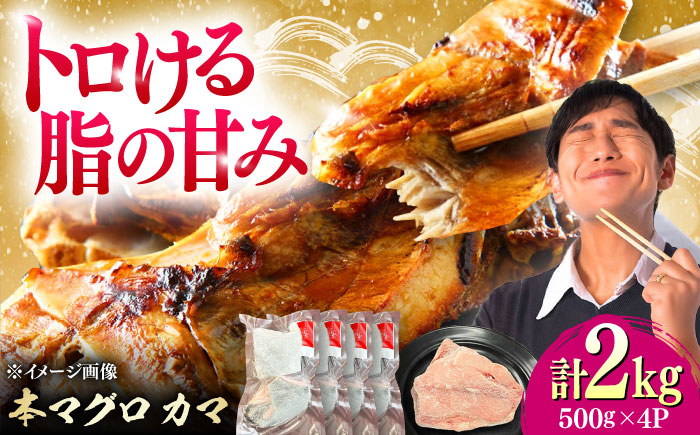 対馬産 本マグロ カマ 2kg ≪対馬市≫【桐谷商店】 トロの華 対馬 新鮮 マグロ かま 鮪 [WAQ103]