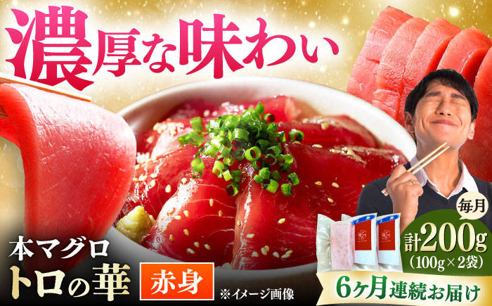 【全6回定期便】対馬産 本マグロ 赤身200g ≪対馬市≫【桐谷商店】 トロの華 対馬 新鮮 マグロ 赤身 鮪 刺身 [WAQ113]
