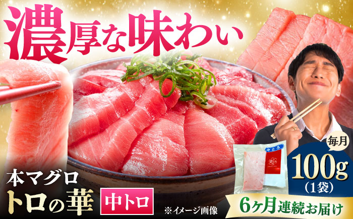【全6回定期便】対馬産 本マグロ 中トロ100g ≪対馬市≫【桐谷商店】 トロの華 対馬 新鮮 マグロ 中トロ トロ 鮪 刺身 [WAQ117]