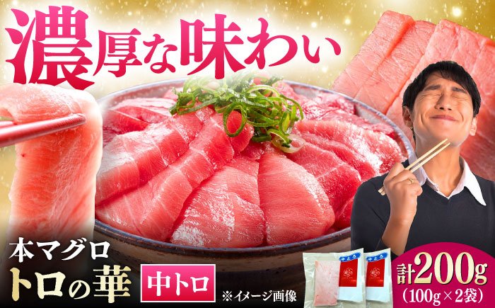 対馬産 本マグロ 中トロ200g ≪対馬市≫【桐谷商店】 トロの華 対馬 新鮮 マグロ 中トロ トロ 鮪 刺身 [WAQ119]