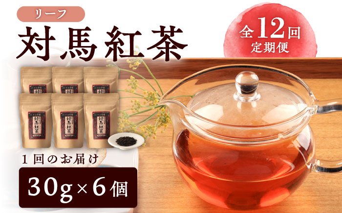 【全12回定期便】対馬 紅茶 リーフ 30g×6個 《対馬市》【つしま大石農園】ティー 国産 [WBE007]